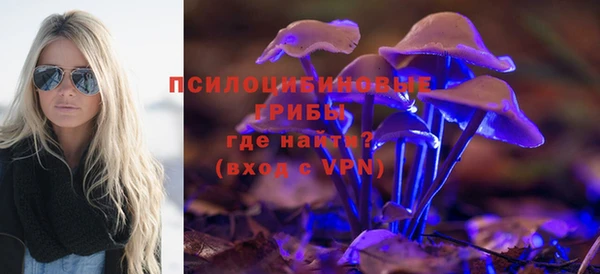 индика Абаза