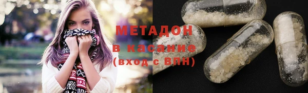 индика Абаза