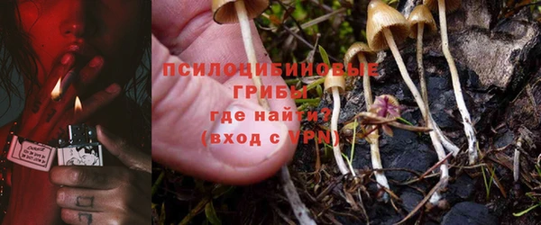 apvp Абинск