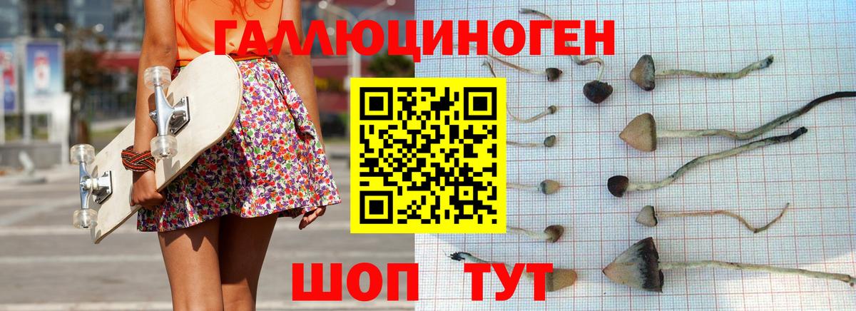 Орск  Галлюциногенные грибы Psilocybe  Вход с VPN 